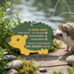 עץ ריח לרכב ממותג עם לוגו לעמותות ופעילות חברתית – מוצר פרסום למודעות וחיבור לקהילה